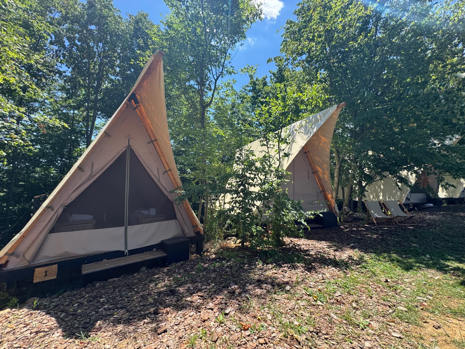 Custom glamping tents integrated into a forest environment