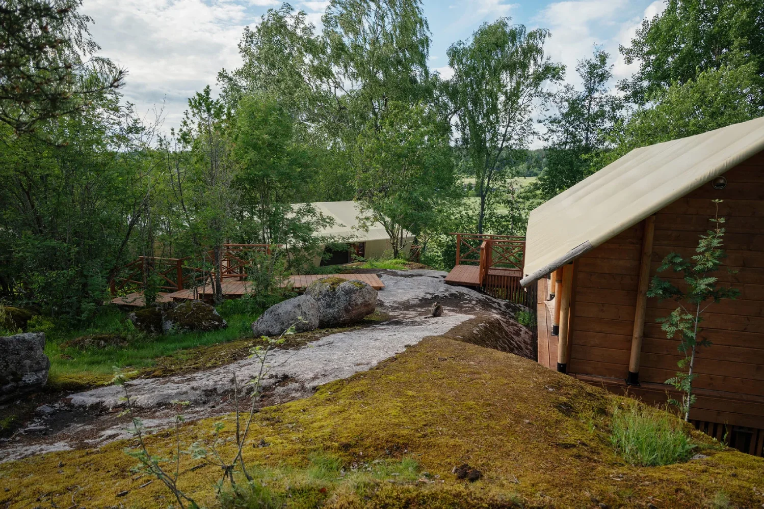 Mehrere Glamping-Einheiten in einer natürlichen Waldlandschaft