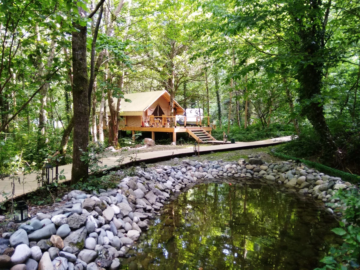 Glamping accommodation surrounded by forest