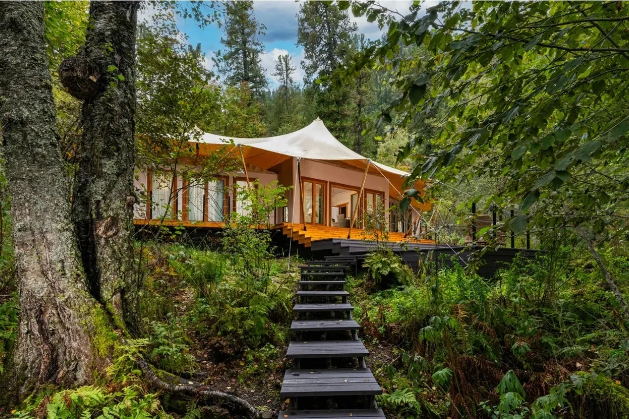 Custom luxury glamping accommodation integrated into a natural forest setting